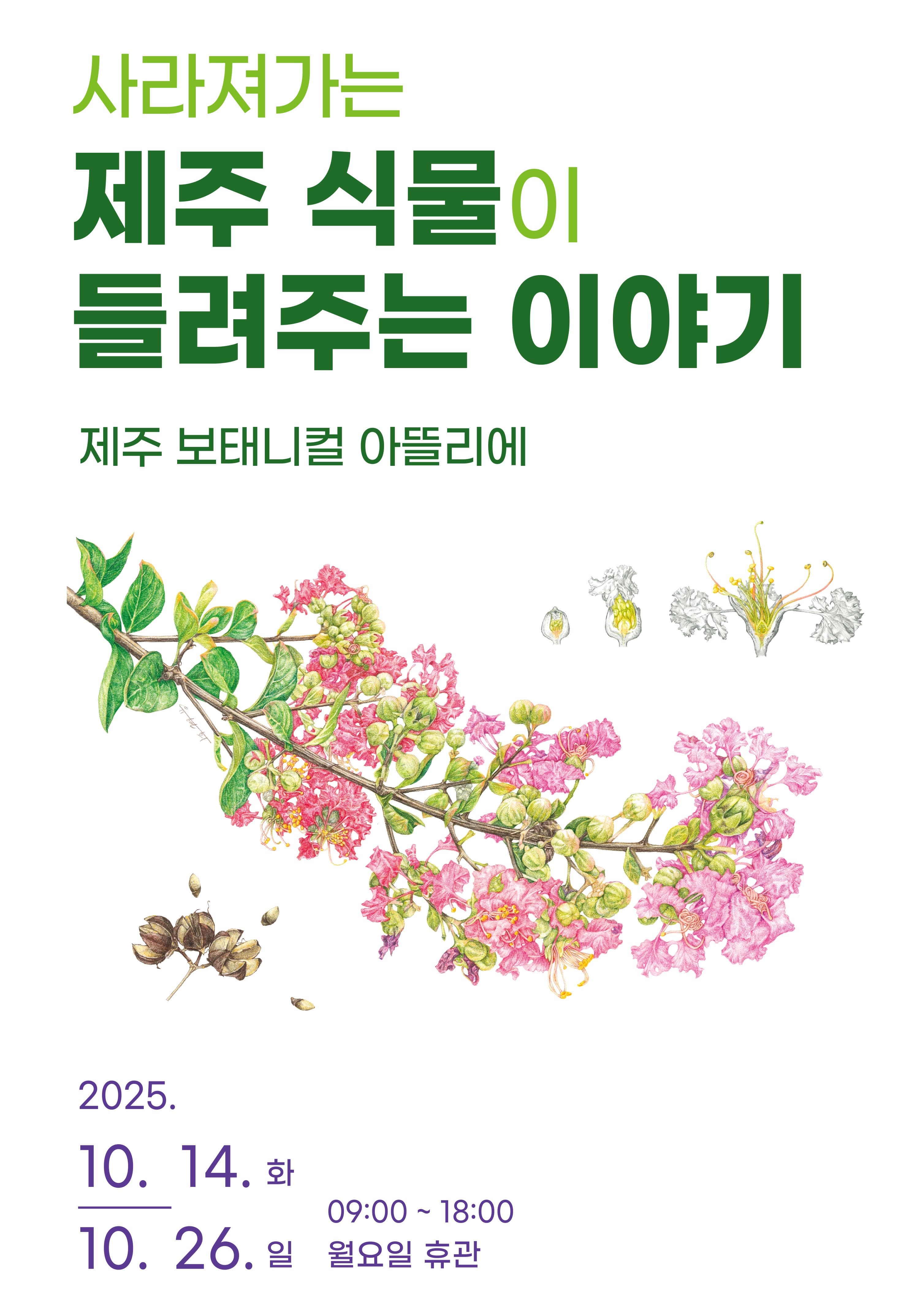 사라져가는 제주 식물이 들려주는 이야기 전시 이미지